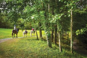 Photo 25- click for photo gallery